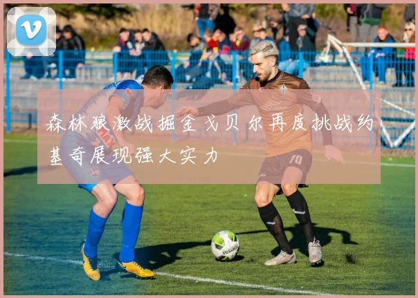 森林狼激战掘金戈贝尔再度挑战约基奇展现强大实力